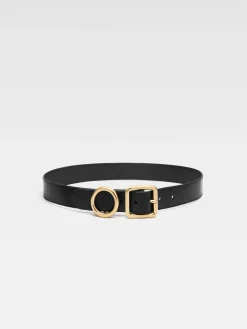 The Regalo belt