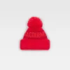 The winter beanie